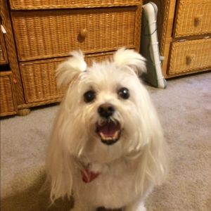 Meet your Posher, Traci